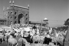Jama Masjid during Eid, Delhi. Mid 1940s